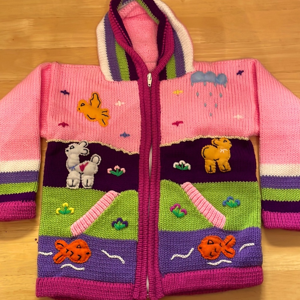 Peruvian handmade Embroidered Kids multicolor Jacket Sweater hooded Zip Up - NEW